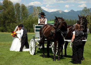 Wedding Carriage